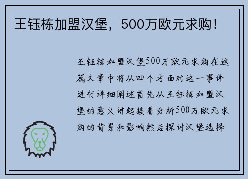 王钰栋加盟汉堡，500万欧元求购！